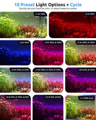 Control WRB de tres canales, colores personalizados.