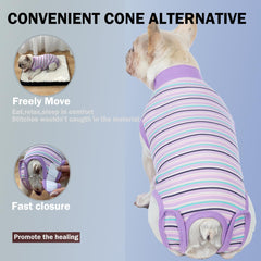 Sebidtco sin-cono-perros permite moverse, comer y dormir cómodamente tras cirugía.