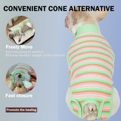 Sebidtco Traje recuperación para perros, abdomen cubierto, evita lamidos