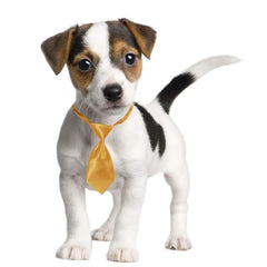 Segarty corbatín multicolor para perro pequeño, 40 estilos para cambiar de apariencia.