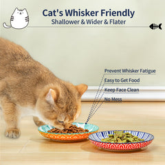 Cuenco Selamica cerámico para gato, diseño exterior vibrante para comer con estilo