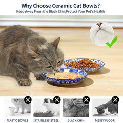 Selamica tazones cerámicos, colores brillantes, regalo ideal para amantes de gatos.