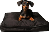 Funda SELUGOVE para cama de perro de 30l x 20w x 3h, protección duradera.