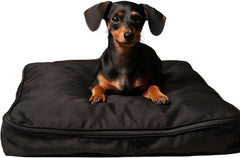 Funda SELUGOVE para cama de perro de 30l x 20w x 3h, protección duradera.
