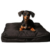 Funda SELUGOVE para perro grande, 53L x 43W x 5H, impermeable y duradera