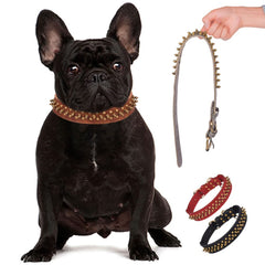 Serijoars collar perro ajuste seguro con hebilla, cómodo de poner.