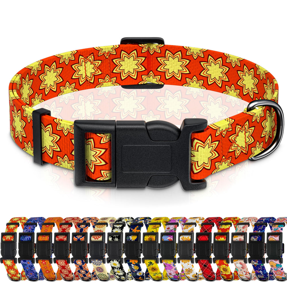 Collar Seyezo para perro con diseño indio clásico, cómodo para paseos diarios.