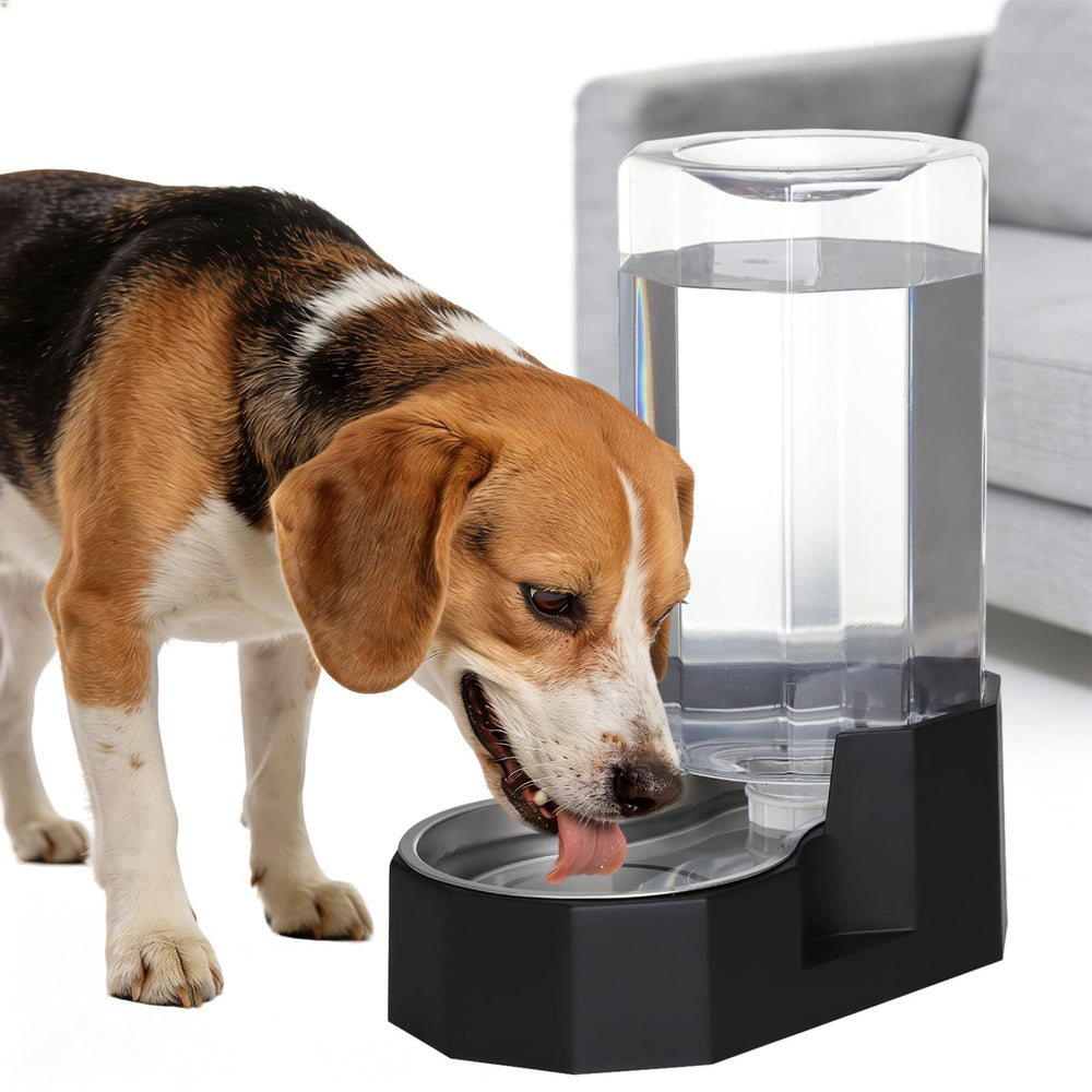 Bebedero Sfozstra 8L automático en acero inoxidable para perros, agua siempre disponible.