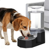 Bebedero Sfozstra 8L automático en acero inoxidable para perros, agua siempre disponible.