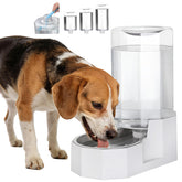 Sfozstra dispensador agua 8L, vista-general, fuente estable para mascotas en casa.