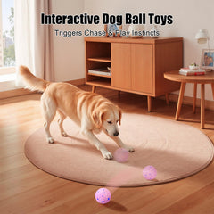 Shapana bola interactiva en acción, movimiento automático para perros.
