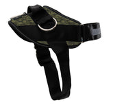 ShawnCo Arnes Essential: vista frontal, sin tirones, ideal para paseos controlados.