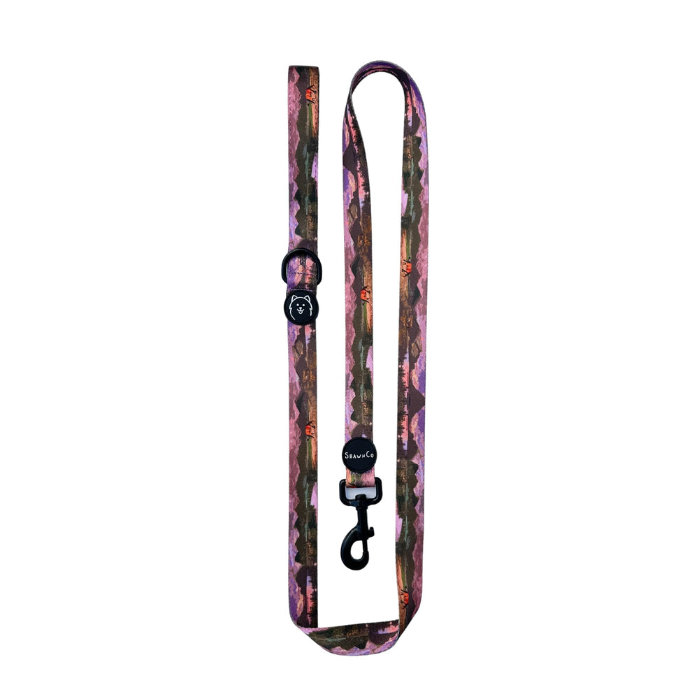 ShawnCo Dream Walk: correa de nylon elegante para paseos diarios con tu perro.