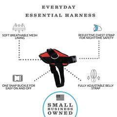 ShawnCo Essential Harness con tres anillos para diferentes enganches y entrenamiento.