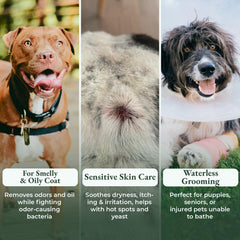 ShelterBaby Polvo Seco para Perros, fragancia suave durante la aplicación.