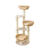 SHENGOCASE arból para gatos moderno con torre estable para observar desde la ventana.