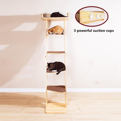 SHENGOCASE torre gatos 5 plataformas en alturas, permiten juego de varios felinos.