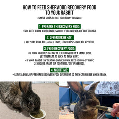Jeringa de alimentación de Sherwood Pet Health para administración controlada.