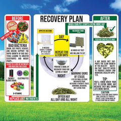 Timothy Recovery Food para cobaya, porciones de 10 g listos para administrar