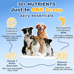 SHINEPAWS glucosamina: soporte para articulaciones y movilidad en perros.