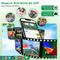 Shufield accesorios-diy-aves-verde: opciones para atraer especies y personalizar