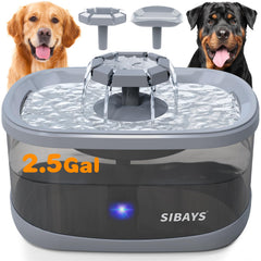 Bebedero SIBAYS para perros grandes con filtro de 7 pulgadas, agua fresca.