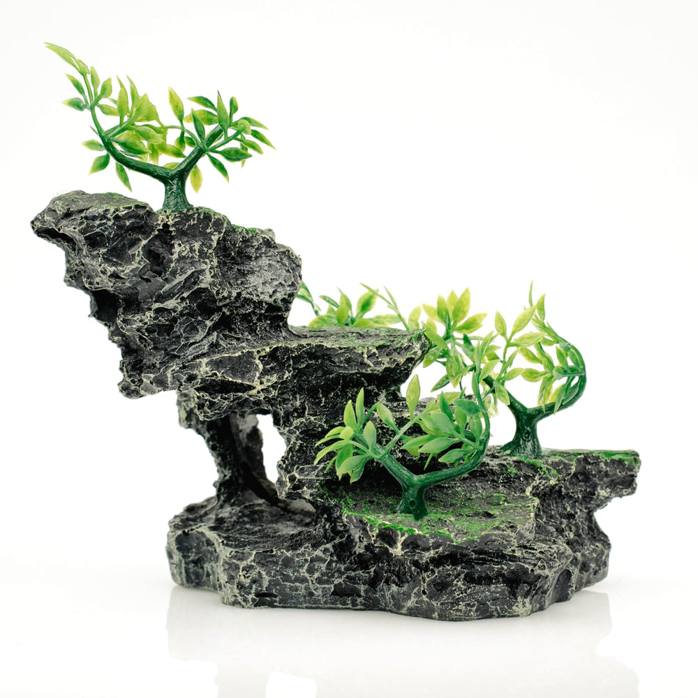 SiissaPeksid paisaje roca con arbol de musgo, crea un acuario natural.