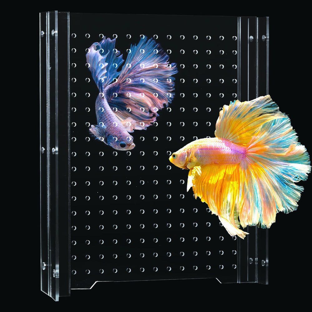 Divisor acrílico SIKGFPN para acuario 10 galones, ajuste seguro para separar zonas de peces.