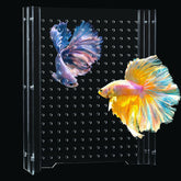 Divisor acrílico SIKGFPN para acuario 10 galones, ajuste seguro para separar zonas de peces.
