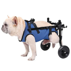 Silla de ruedas para perro pequeño diseño modular para uso en casa.