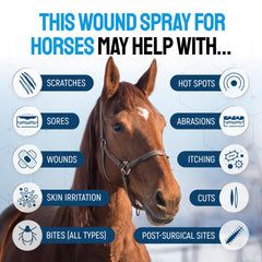 SILVER GRADE aplicación en spray para zonas irritadas del caballo