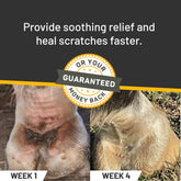 Aplicación en pata del caballo con Silver Honey para irritación