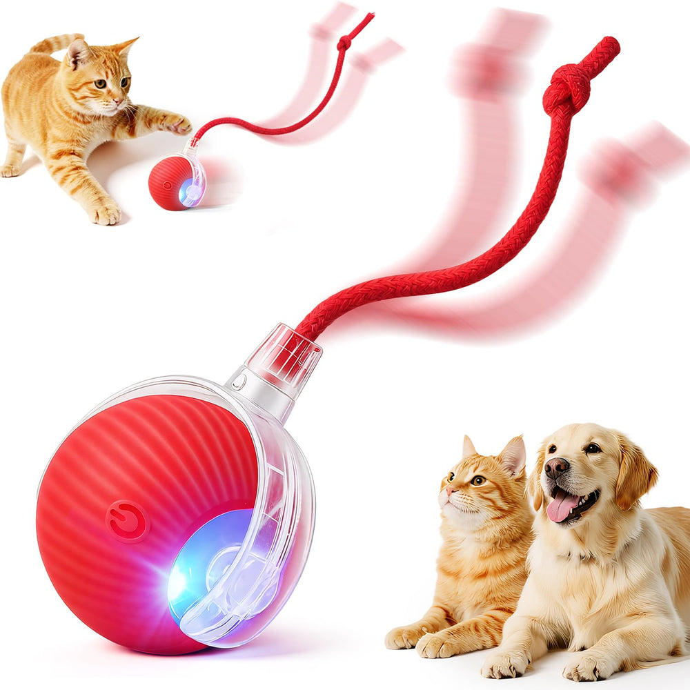 SilveWillo bola interactiva rodante para interiores, estimula juego activo en interiores.