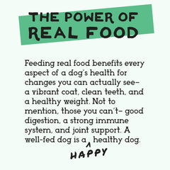 Simple Food Project Bison Recipe, complemento superior para comida de perros