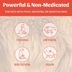 SKOUT'S HONOR Probiotic Itch Relief Shampoo, muestra omega-3, nutrición del pelaje.