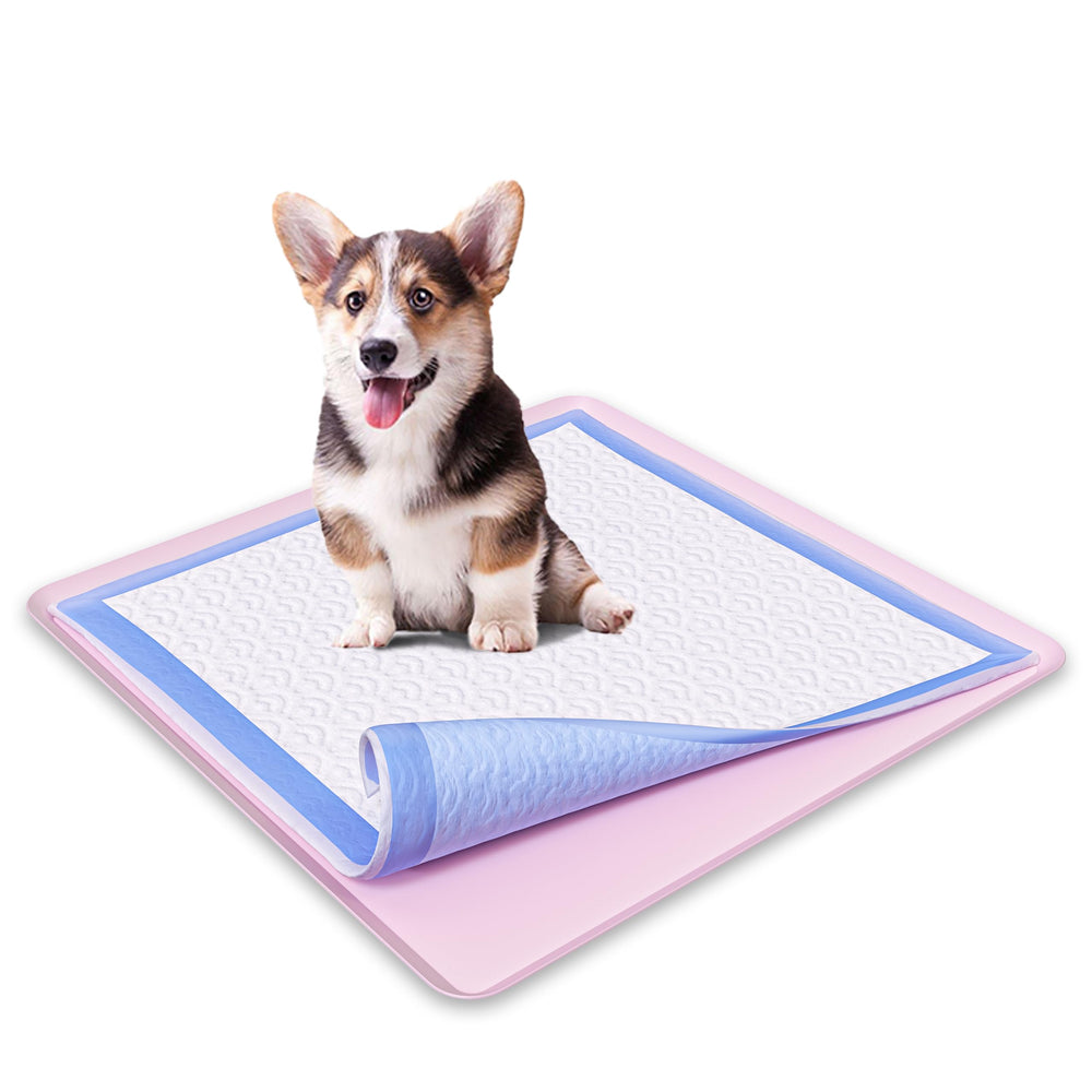 Skywin TidyFriend: bandeja frontal para tapete de orina, protege suelos