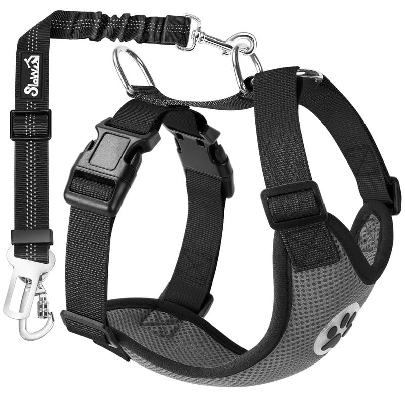 SlowTon arnés de seguridad para coche con doble clip en uso seguro.