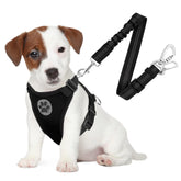 SlowTon arnes coche 2 en 1 con cerradura doble para seguridad