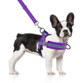 SlowTon arnés sin tirones con clip frontal para perros pequeños, reduce jalones durante paseos