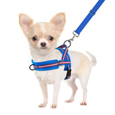SlowTon arnés sin tirones con clip frontal para perro pequeño