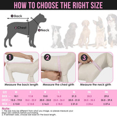 SlowTon capa para perros con borde reflectante, mayor visibilidad en salidas nocturnas