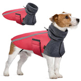 SlowTon chaqueta de invierno para perros, vista general con ajuste cómodo
