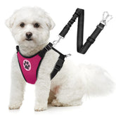 SlowTon cinturón de seguridad para perros en coche con doble cierre para mayor seguridad.
