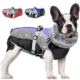 SlowTon chubasquero para perro con correa integrada, ideal para paseos invernales.