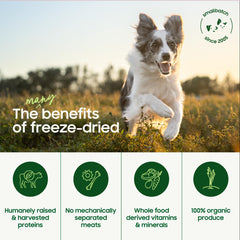 Smallbatch Pets modo hidratar y servir, ideal para comidas rápidas