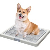 Smart Paws inodoro de entrenamiento para corgi, facilita aprendizaje diario.