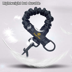Snagle Paw extensor de correa bungee reflectante para mayor visibilidad nocturna.