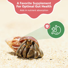 Snout and Shell Mezcla nutricional para cangrejos ermitaños, ideal para dieta equilibrada.