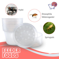 Snout and Shell: inicio de cultivo de insectos para reptiles y anfibios