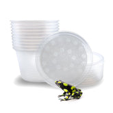 Snout and Shell: vaso deli 16oz con tapa tejida para cultivo seguro de insectos